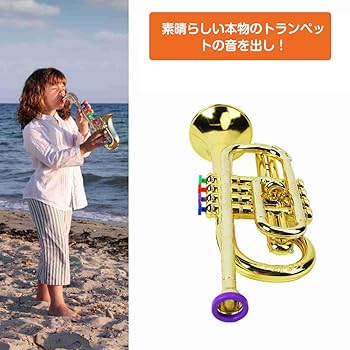 管楽器・吹奏楽器 Ultimate Brass 4 管楽器・吹奏楽器 Ultimate Brass 4 Bass Trombone Mouthpiece